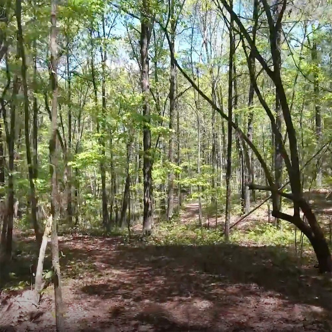 The Congo field at Alabama Paintball Quest
